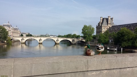 Paris : pont du Carrousel